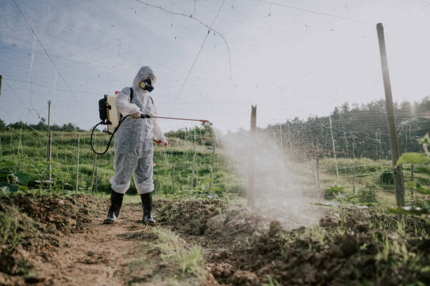 Best Best Pest Control Companies  in Fort Wright, KY
