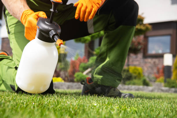 Best Pest Removal Services  in Fort Wright, KY