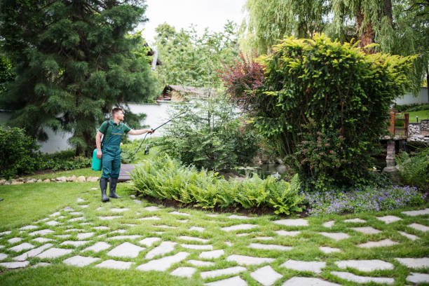 Best Pest Inspection Near Me  in Fort Wright, KY