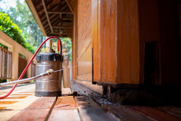 Best Local Pest Control Services  in Fort Wright, KY