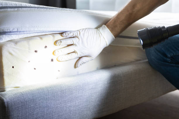 Pest Control Cost in Fort Wright, KY