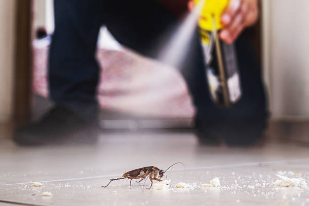 Trusted Fort Wright, KY Pest Control Experts