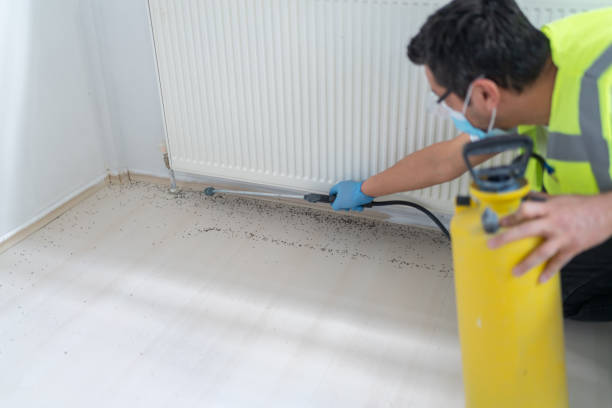 Best Residential Pest Control  in Fort Wright, KY