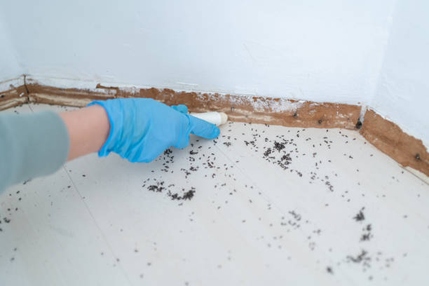 Best Emergency Pest Control  in Fort Wright, KY